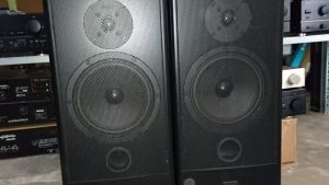 Canton Fonum 601 DC